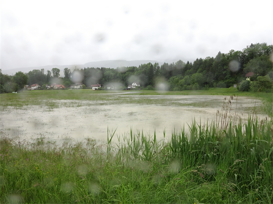 Hochwasser 2013-06-02 [032].JPG
